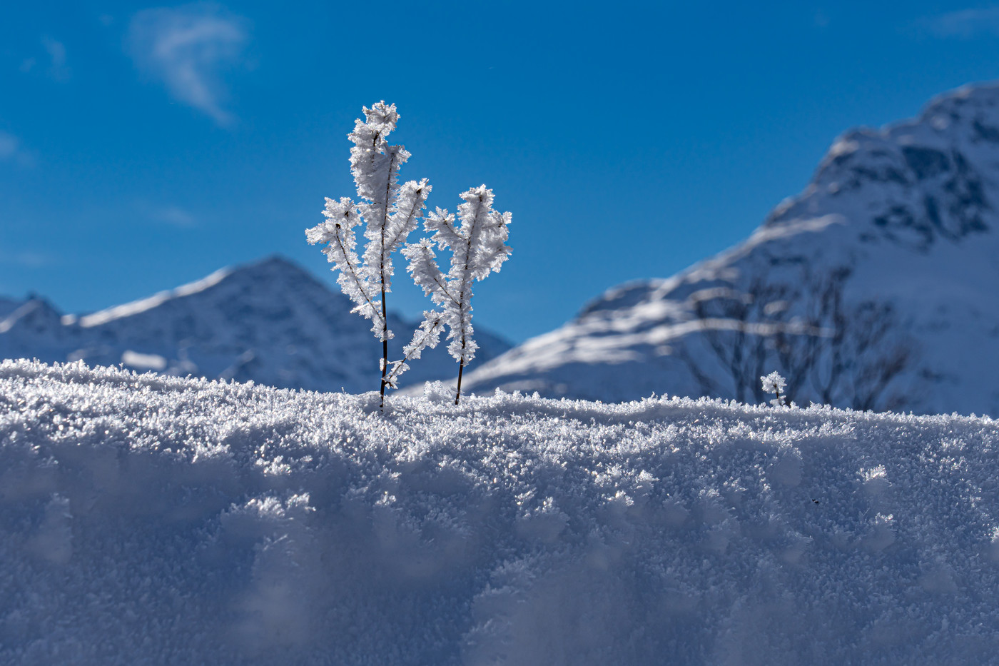 Eiszeit im Engadin bei Samedan.
