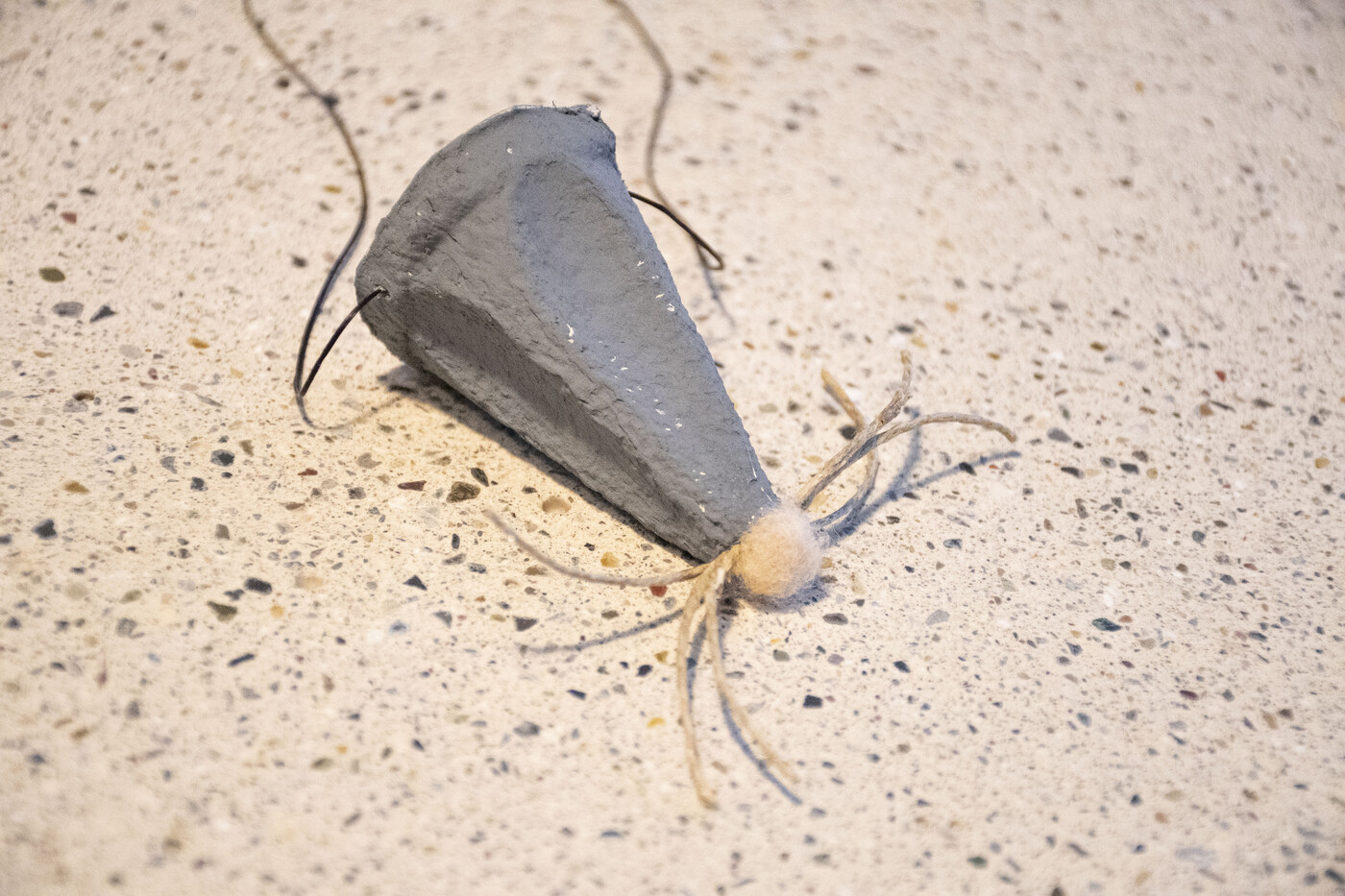 Maus