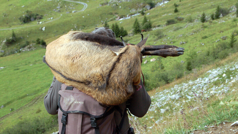 Jagd