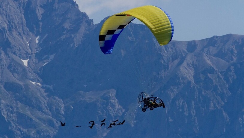 Mit einem Ultraleichtfluggeräten wird den Waldrappen den Weg über die Alpen in ihr Wintergebiet gezeigt. Bild: WALDRAPP-TEAM