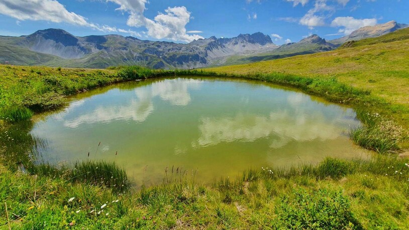 Muss alles einen Namen haben? Dieser kleine See am Schamserberg hat keinen, und über Schönheit läst sich bekanntlich nicht streiten. Im Hintergrund die Pizzas d'Anarosa.