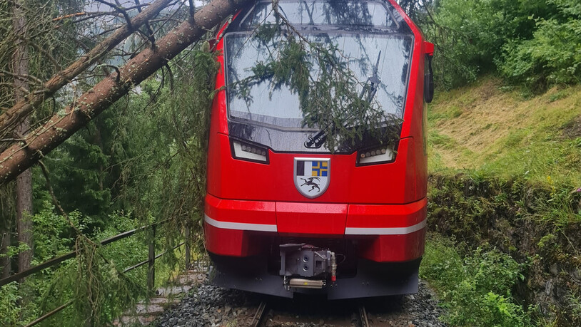 Blockiert: Ein Baum in Schräglage verhindert dem Zug im Abschnitt zwischen Ardez und Scuol-Tarasp die Weiterfahrt. 