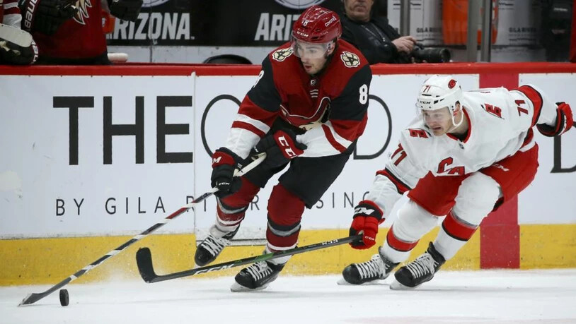 Hurricanes Coyotes Hockey