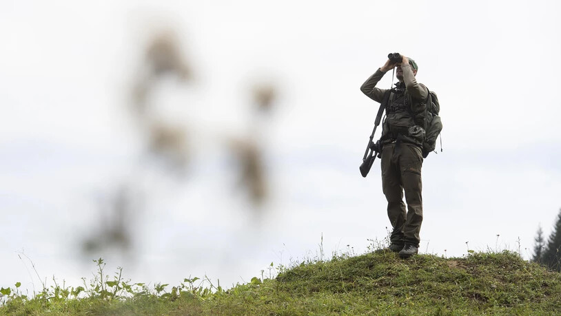 Jäger Jagd 2019 Hochjagd Hirsch