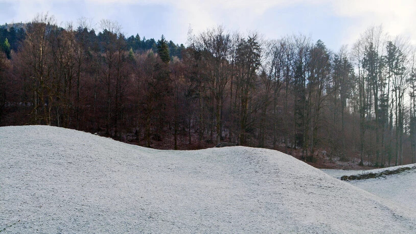 Die Bühlschanze in Schwanden.