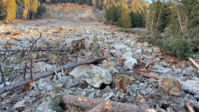 Etliche Bäume mitgerissen: Der Felssturz an der Südflanke des Davoser Seehorns hat am Berg eine breite Schneise der Verwüstung hinterlassen. Etliche Bäume mitgerissen: Der Felssturz an der Südflanke des Davoser Seehorns hat am Berg eine breite Schneise der Verwüstung hinterlassen.