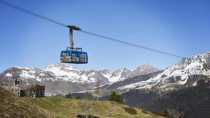 Sie wird im Arosa Bärenland ein neues Zuhause finden. 