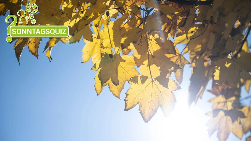 Herbstzeit: Die sogenannte bunte Jahreszeit beginnt.
