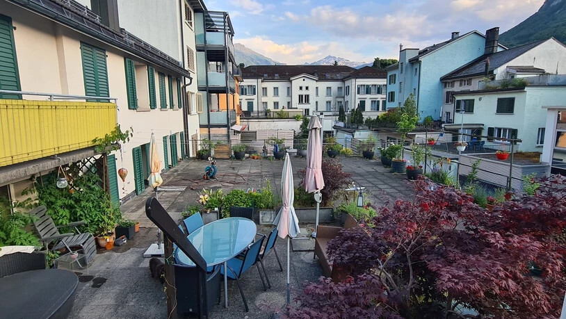 «Auf meiner 150m2 Terrasse habe ich mir meinen eigenen Garten erschaffen, in welchem nonstop etwas blüht; auch im Winter», erzählt Danièle Enz aus Glarus zu ihrem Bild. «Nebst Blumen gedeihen auf meiner Terrasse auch: Kirschen, Trauben, Äpfel, Gemüse im Hochbeet, Feigen,  Heidel- , Him- und Brombeeren. Angefangen habe ich 2007 mit ein paar Töpfen und heute ist es mein Gartenparadies.»  