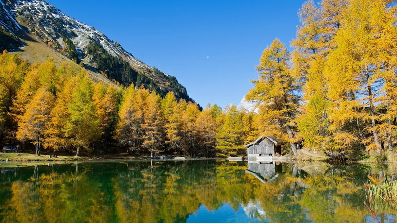 Farbenspiel: Ein Besuch am Palpuognasee lohnt sich besonders im Herbst.