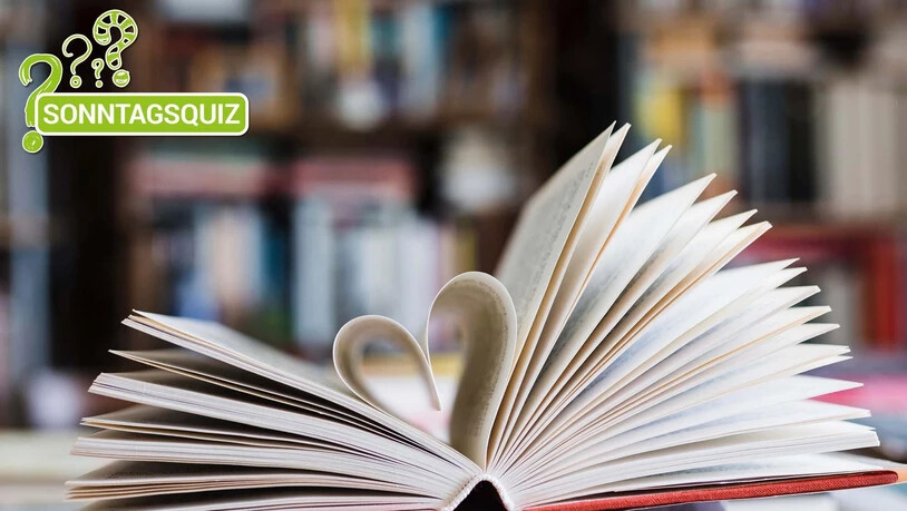 Buchquiz: In diesem Sonntagsquiz geht es um Bücher aus dem Bereich der Philosophie.