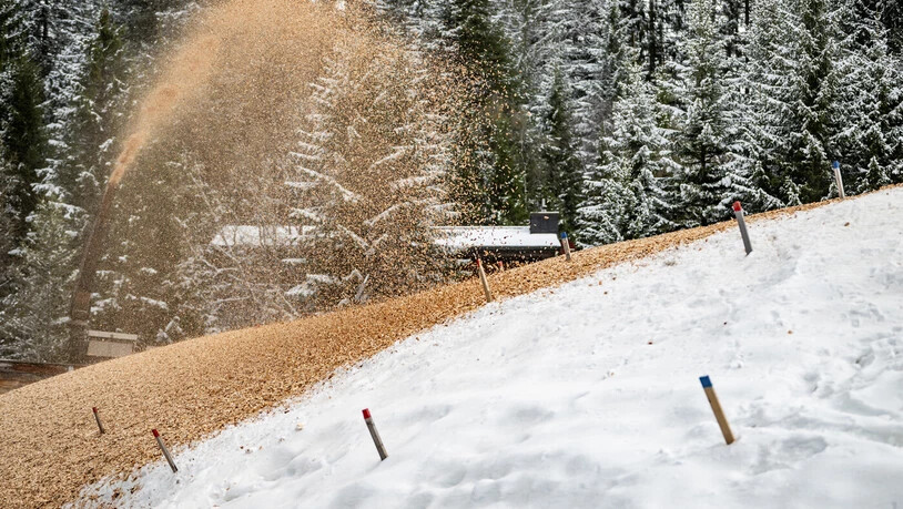Snowfarming: In der Biathlonarena auf der Lenzerheide wird der Schnee für den Sommer bereit gemacht. 