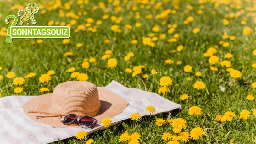 Den Sommer geniessen: Wichtig ist es, sich richtig vor der Sonne zu schützen.