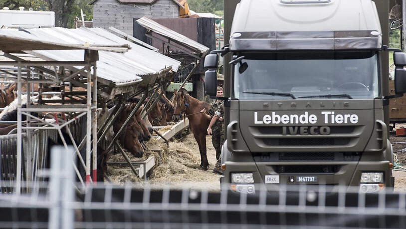 Am 8. August 2017 transportierte die Armee die Pferde vom Hof in Hefenhofen ab. (Archivbild)