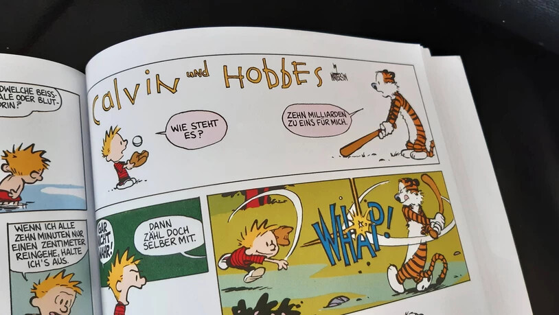Eine einzigartige Freundschaft: Wenn Calvin mit seinem Plüschtiger Hobbes alleine ist, verwandelt sich dieser in einen lebendigen Tiger. Eine einzigartige Freundschaft: Wenn Calvin mit seinem Plüschtiger Hobbes alleine ist, verwandelt sich dieser in einen lebendigen Tiger.