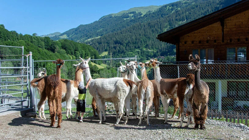Unterstützung von der Familie: Auch der kleinste Sohn der Familie hilft gerne auf dem Hof mit.