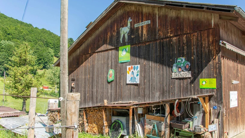 Ein Dach über dem Kopf: In diesen Stall können die Lamas jederzeit rein und raus, sofern sie nicht auf einer Weide sind.