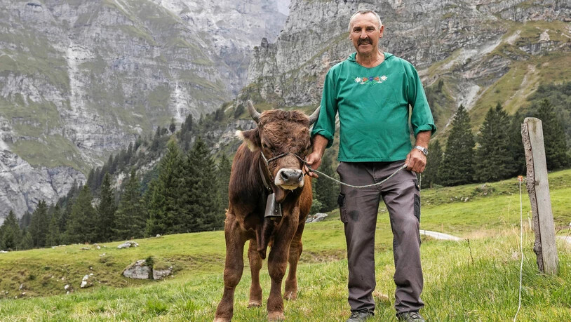 Der Siegermuni lernt schnell: Der Kleine posiert erstmals vor der Kamera bereits wie ein Grosser. Der Siegermuni lernt schnell: Der Kleine posiert erstmals vor der Kamera bereits wie ein Grosser.