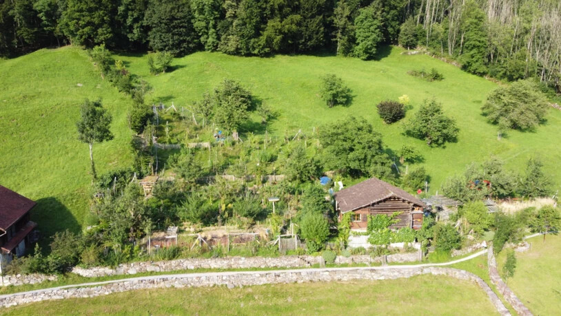 Der Ennendaner Permakultur-Garten von Boris Juraubek aus der Vogelperspektive