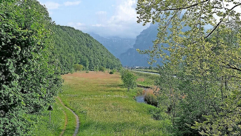 Umstrittenes Projekt: Die Linthkommission will im Kundertriet eine zweite Flussaufweitung realisieren. Umstrittenes Projekt: Die Linthkommission will im Kundertriet eine zweite Flussaufweitung realisieren.