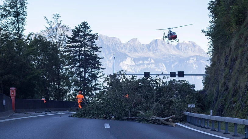 Montagnachmittag auf der A3 am Walensee: Während zwei Stunden transportiert Heli-Linth die abgeholzten Bäume vom Berg auf die Fahrbahn. Montagnachmittag auf der A3 am Walensee: Während zwei Stunden transportiert Heli-Linth die abgeholzten Bäume vom Berg auf die Fahrbahn.