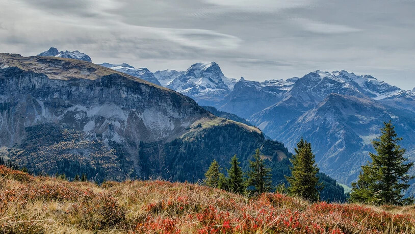 Der Föhn sorgte an diesem warmen Herbsttag für eine grandiose Aussicht von der Schönau auf die Berglandschaft von Glarus Süd. Dieses Bild ist auch im Fotokalender 2024 von Daniele Giardina abgebildet.
