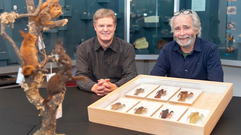 Es krabbelt und klettert: Ueli Rehsteiner (links) und Flurin Camenisch (rechts) vom Bündner Naturmuseum in Chur posieren neben eindrücklichen Exponaten.