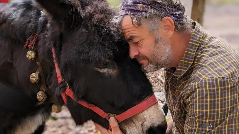 Zwei Monate lang nonstop gemeinsam unterwegs: Claudio Gregori und Esel Armani sind beste Freunde. Zwei Monate lang nonstop gemeinsam unterwegs: Claudio Gregori und Esel Armani sind beste Freunde.