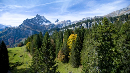Am Samstag stürzt ein Mann beim Aufstieg auf den Ortstock ab und verunglückt dabei tödlich.