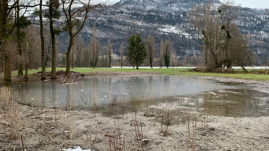 Für Kreucher, Fleucher, Flatterer und Hüpfer: Im Zuge des Ara-Projektes hat der Weiher Hüttenböschen ein Upgrade bekommen. Kürzlich war die Projektabnahme.