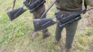 Die Stimmbevölkerung der Schweiz hat das Jagdgesetz abgelehnt.