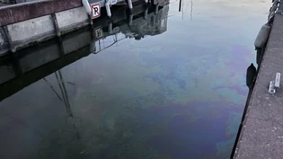 Im Hafen von Murten lag eine dünne Dieselschicht auf der Wasseroberfläche.
