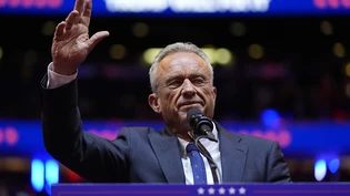 ARCHIV - Robert F. Kennedy Jr. spricht bei einer Wahlkampfveranstaltung im Madison Square Garden in New York. Foto: Alex Brandon/AP/dpa