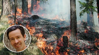 Der Experte erklärt: Maurus Frei von der Abteilung Wald und Naturgefahren informiert über Glarner Waldbrände. Der Experte erklärt: Maurus Frei von der Abteilung Wald und Naturgefahren informiert über Glarner Waldbrände.