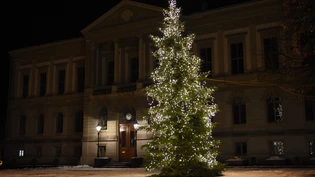 Christbaum vor dem Rathausplatz: 160 Kinderwünsche hingen am Kinderwunschbaum – alle werden erfüllt. Christbaum vor dem Rathausplatz: 160 Kinderwünsche hingen am Kinderwunschbaum – alle werden erfüllt.