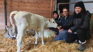 Biohof Danuser: Adrienne Krättli, Christoph Benz und Jessica Müller zeigen vollen Einsatz bei der Hofarbeit in Felsberg.