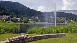 Sommer 2010