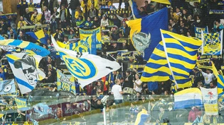 HCD-Fans beschweren sich lautstark über mangelnden Einsatz der Spieler im Cupfinal gegen Rapperswil-Jona. HCD Eishockey Davos Fans