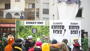 Die Fasnächtler liessen ihrer Kreativität freien Lauf.