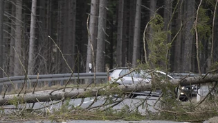 09.02.2020, Hessen, Schmitten: Ein vom Sturm abgeknickter Baum blockiert eine Straße am Feldberg im Taunus. Das Sturmtief "Sabine" fegt mit teils sehr hohen Windgeschwindigkeiten über Deutschland. Foto: Boris Roessler/dpa +++ dpa-Bildfunk +++ Sturmtief "Sabine" - Hessen