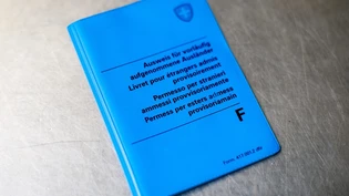 Nicht nur die Nationalität, auch ob jemand eingebürgert wurde, soll künftig in den Polizeimeldungen bekannt gegeben werden. (SYMBOLBILD) Lebenswende Ausweis F Auslaender