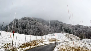 Ober Ganda