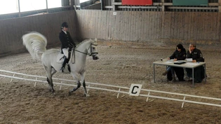 Reiten