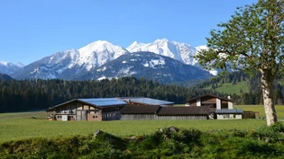 Die Photovoltaik-Anlage auf dem Dach des «Hof Telli» in Trin. Die Photovoltaik-Anlage auf dem Dach des «Hof Telli» in Trin.