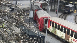 Die Kollision sorgte für die Entgleisung eines Wagens. Die Kollision sorgte für die Entgleisung eines Wagens.