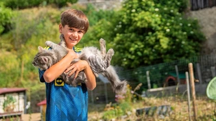 Wieder daheim: Die Kinder sind zurück in Brienz/Brinzauls – samt ihren Haustieren.