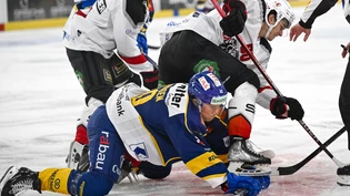 Gegenwehr auf allen vieren: HCD-Stürmer Dennis Rasmussen bekommt den Schlittschuh von Theo Rochette zu spüren. Gegenwehr auf allen vieren: HCD-Stürmer Dennis Rasmussen bekommt den Schlittschuh von Theo Rochette zu spüren.
