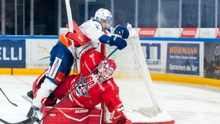 Sinnbildlich: Die SC Rapperswil-Jona Lakers (hier wird ihr Torhüter Melvin Nyffeler von einem Spieler der ZSC Lions angegangen) mussten in der Saison 2023/24 oft untendurch und erlebten einen beispiellosen Absturz. Sinnbildlich: Die SC Rapperswil-Jona Lakers (hier wird ihr Torhüter Melvin Nyffeler von einem Spieler der ZSC Lions angegangen) mussten in der Saison 2023/24 oft untendurch und erlebten einen beispiellosen Absturz.