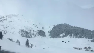 Die Lawine stürzte im Januar anders und vor allem weiter ins Tal als geplant.