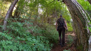 Rückblick: Die Jagdsaison verlief für die Glarner Jägerinnen und Jäger erfolgreich. Rückblick: Die Jagdsaison verlief für die Glarner Jägerinnen und Jäger erfolgreich.